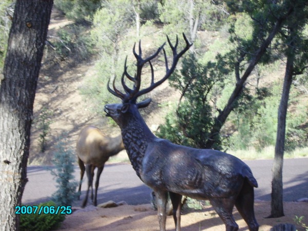 before elk
