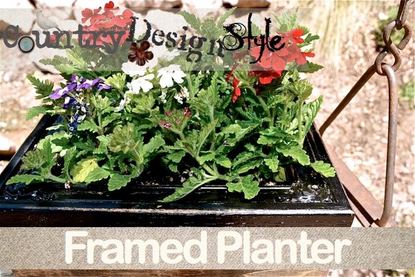 my framed planter
