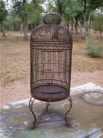 birdcage 2 country design style