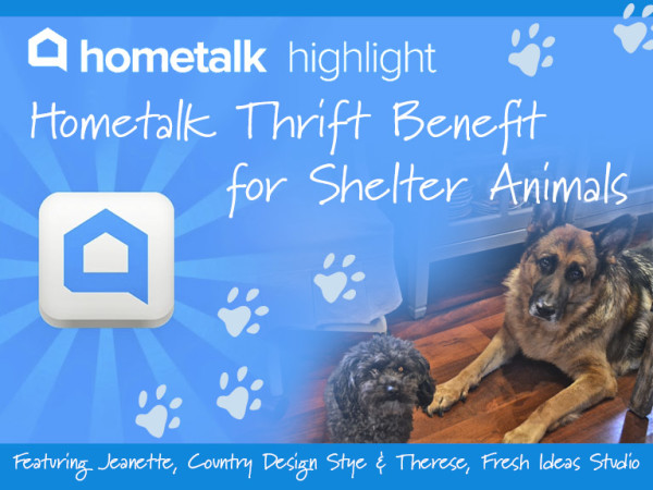 Hometalk highlight Thrift Benefit-blog1510