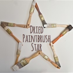 Dried Paintbrush Star SQ