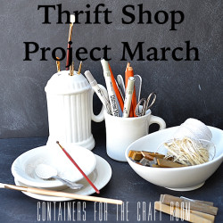 Thrift Shop Project March Thumb