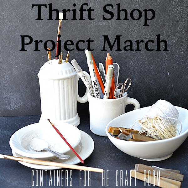 Thrift Shop Projects March
