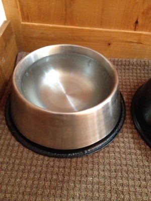 dog-water-bowl-country-design-style