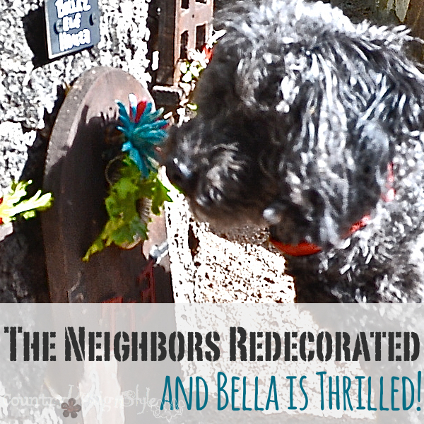bella checking on the neighbors http://courntydesignstyle.com