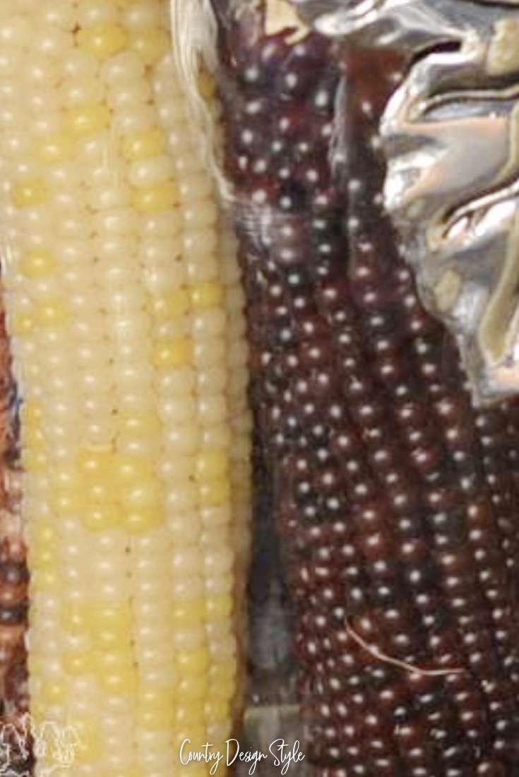 Indian corn on our fall home decor tour