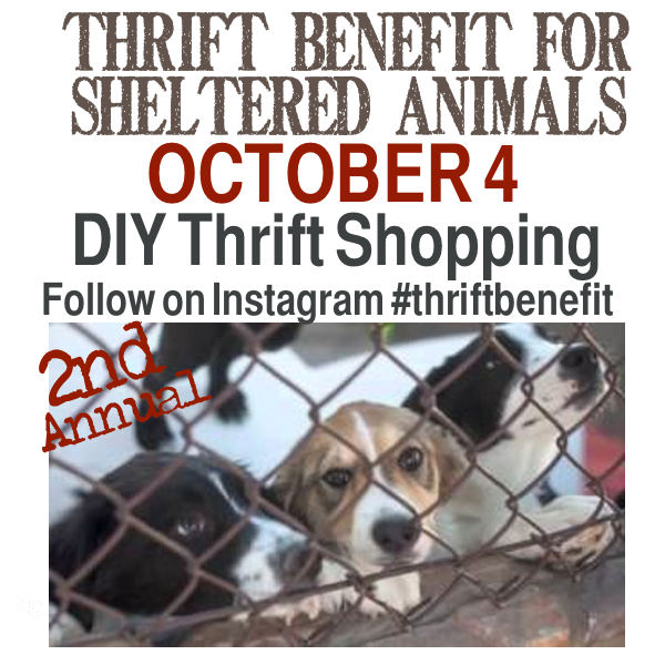 Thrift Benefit Instagram Shopping http://countrydesignstyle.com #thriftbenefit