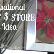 diy-dollar-store-gift-country-design-style-fp