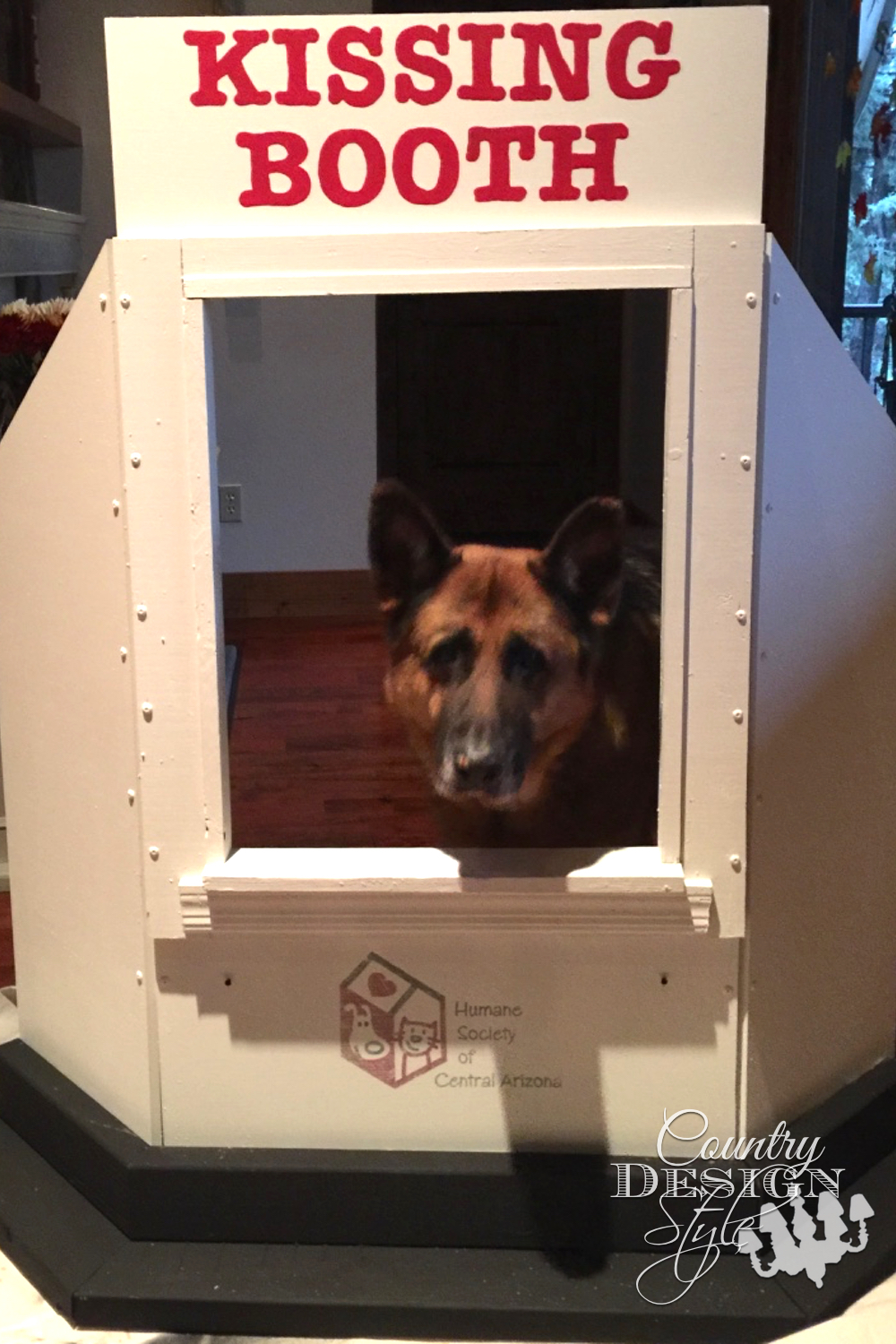 A kissing booth for dogs both small and large. Fund raising idea for sheltered animals. | countrydesignstyle.com