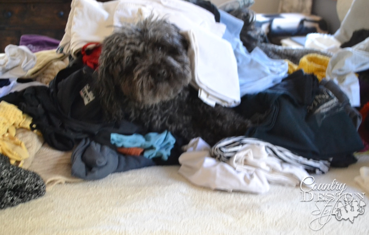Pile of Clothes and Bella | Country Design Style | countrydesignstyle.com
