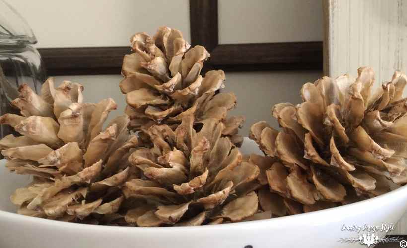 bleached-pine-cones-2-weeks-country-design-style-countrydesignstyle-com
