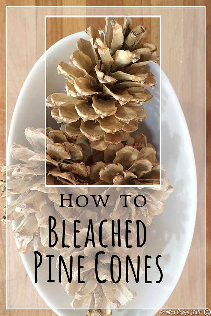 bleached-pine-cones-to-pin-country-design-style-countrydesignstyle-com