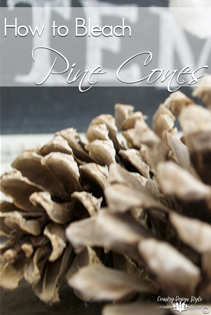 how-to-bleach-pine-cones-country-design-style-countrydesignstyle-com
