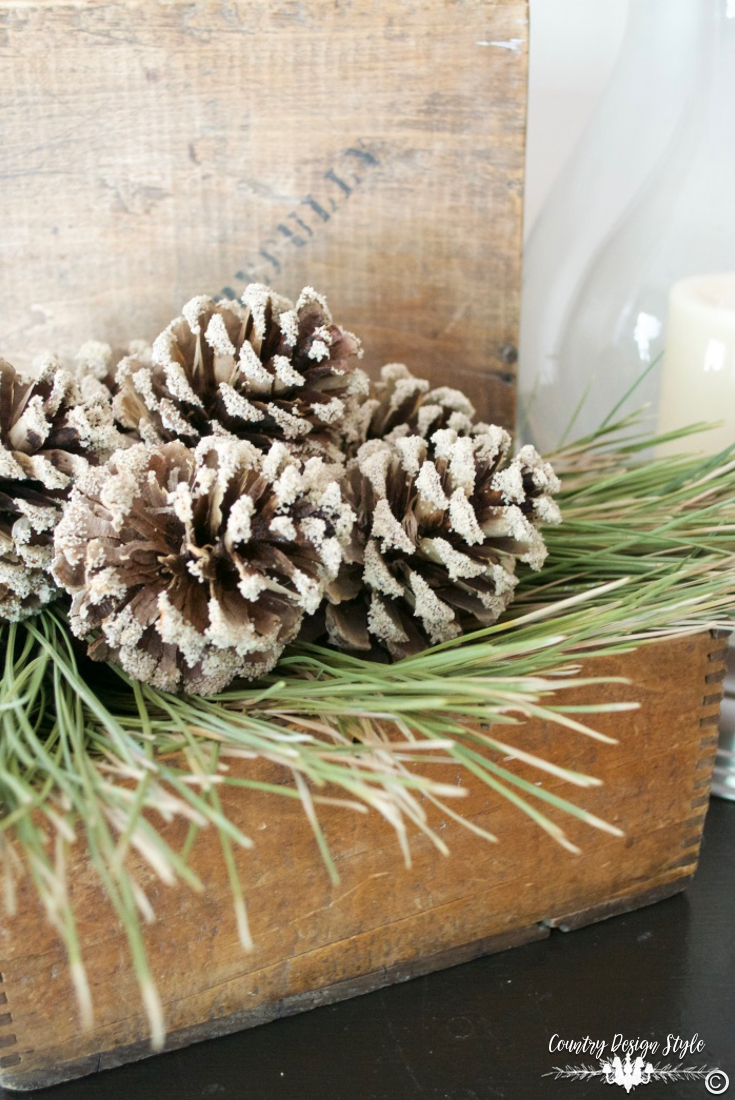 how-to-bleach-pine-cones-add-sand-country-design-style-countrydesignstyle-com