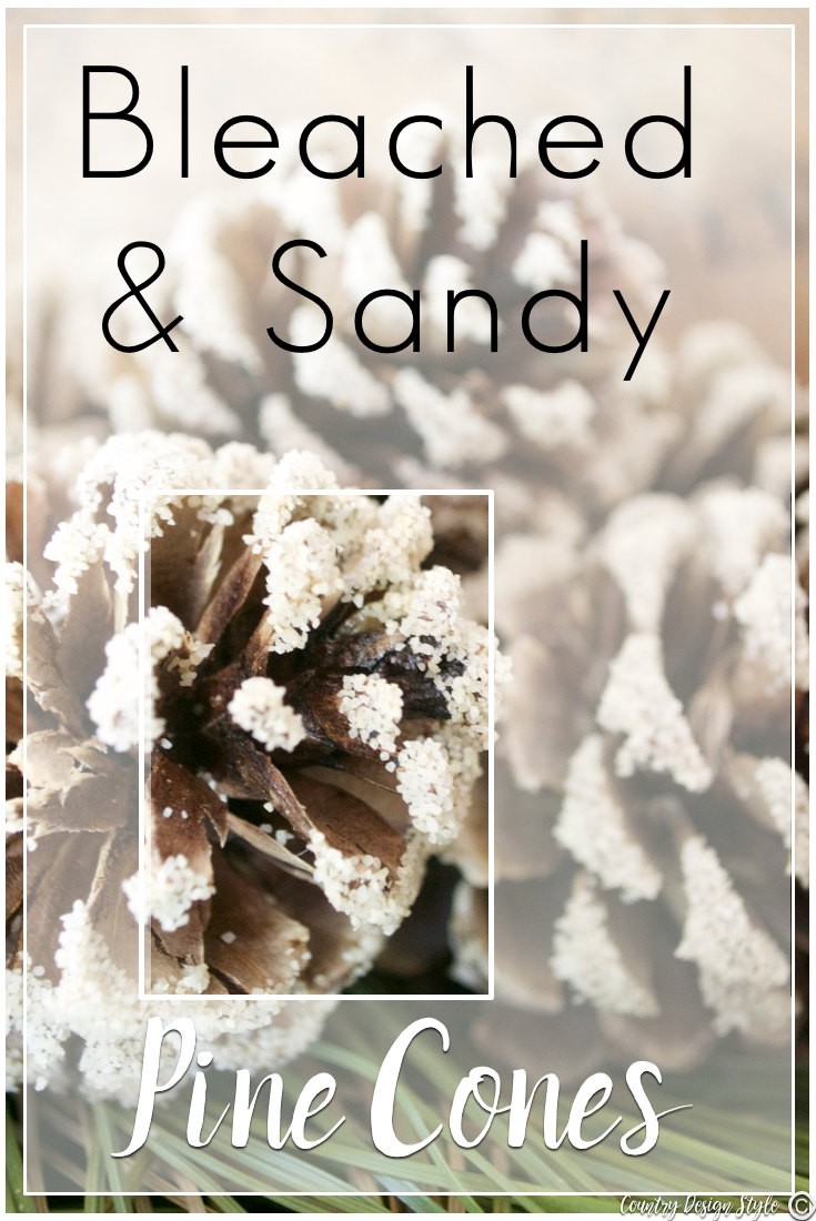 how-to-bleach-pine-cones-and-add-sand-country-design-style-countrydesignstyle-com