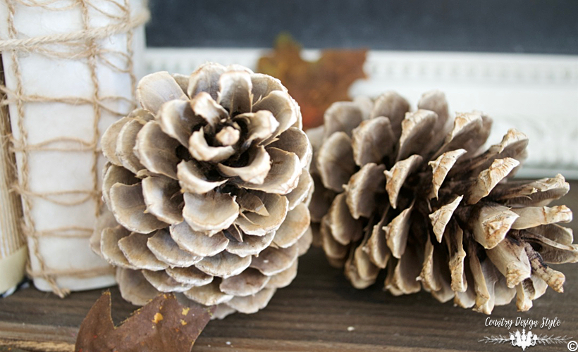 How to Bleach Pine Cones