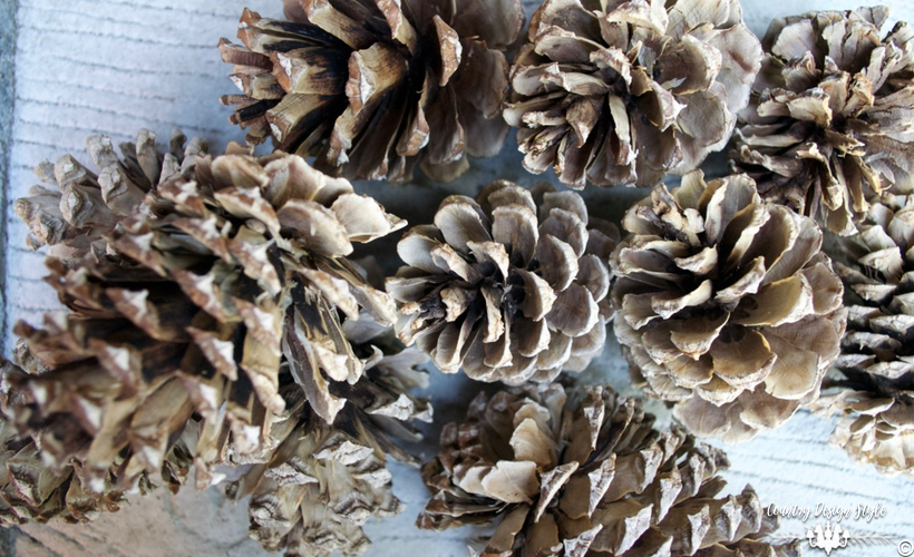 how-to-bleach-pine-cones-opened-country-design-style-countrydesignstyle-com