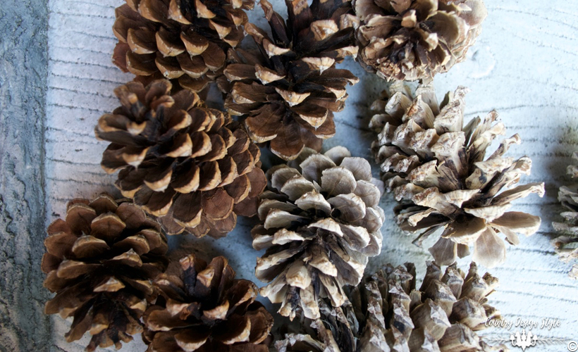 how-to-bleach-pine-cones-regular-cones-country-design-style-countrydesignstyle-com