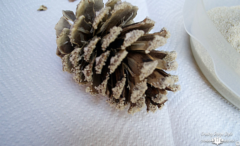 how-to-bleach-pine-cones-sanded-country-design-style-countrydesignstyle-com
