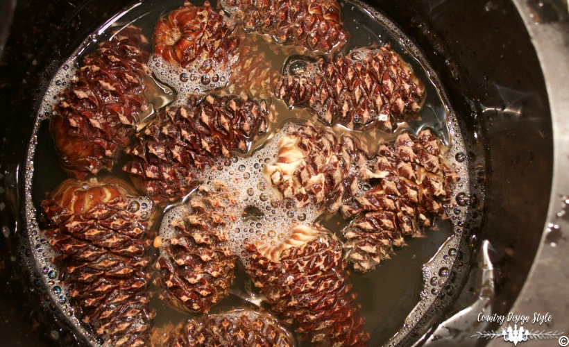 how-to-bleach-pine-cones-wet-and-closed-country-design-style-countrydesignstyle-com
