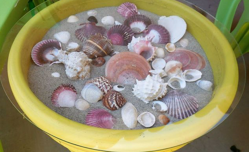 linda-seashell-table
