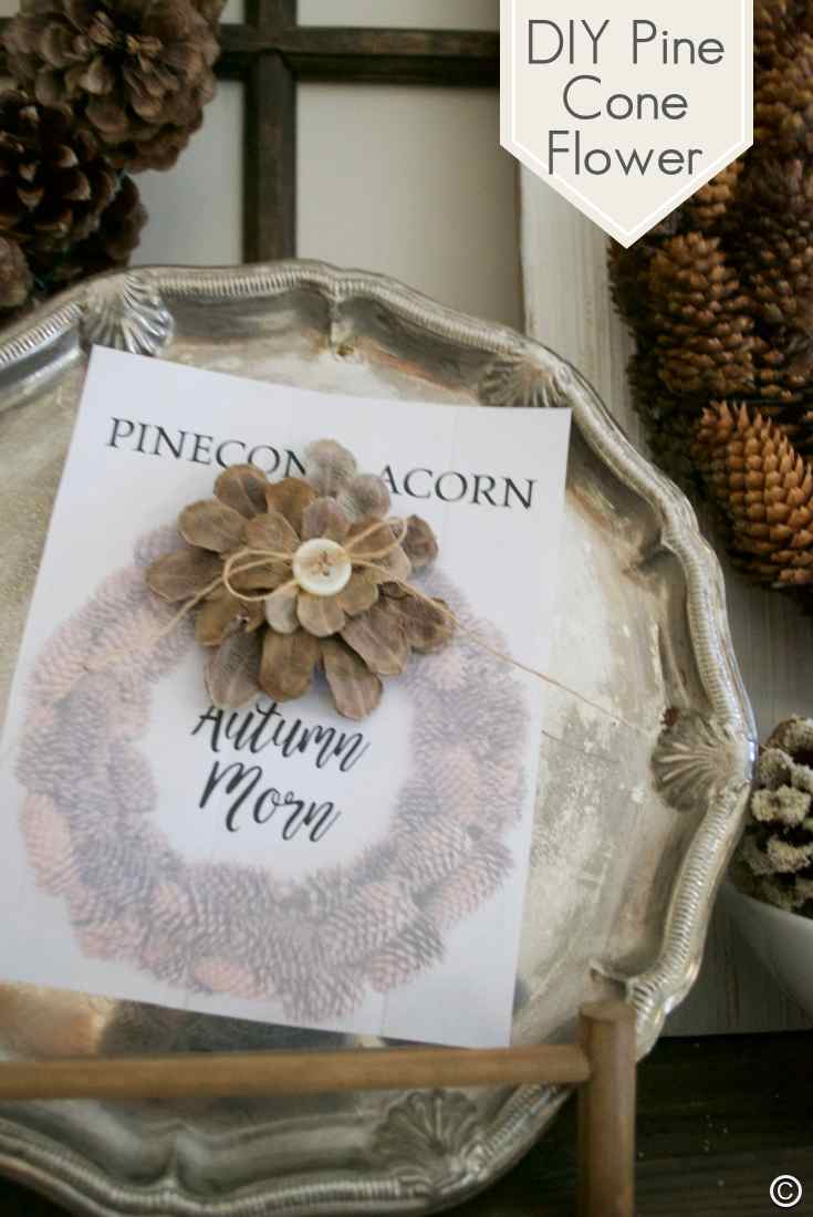 how-to-make-a-bleached-pine-cone-flower-pin-for-pinning-country-design-style-countrydesignstyle-com
