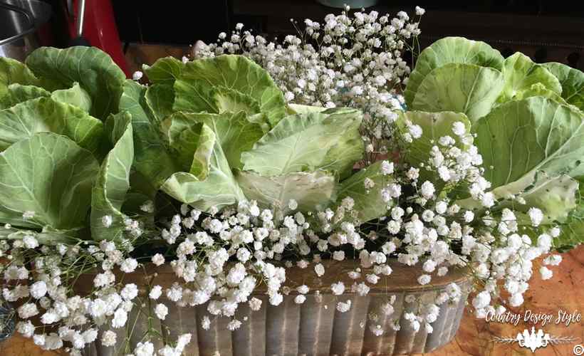 Make-stunning-arrangements-like-a-floral-designer-brassica | Country Design Style | countrydesignstyle.com