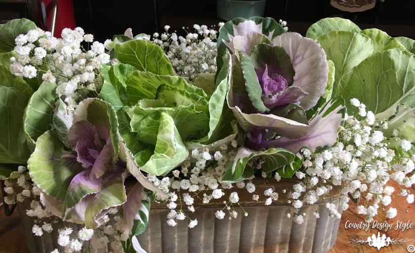 Make-stunning-arrangements-like-a-floral-designerwith-brassica 2 | Country Design Style | countrydesignstyle.com