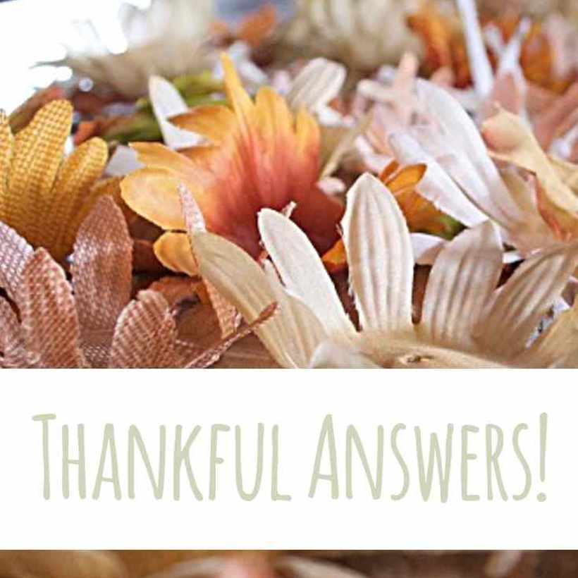 Thankful answers | Country Design Style | countrydesignstyle.com