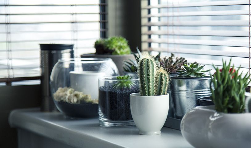 pots and vases accessories