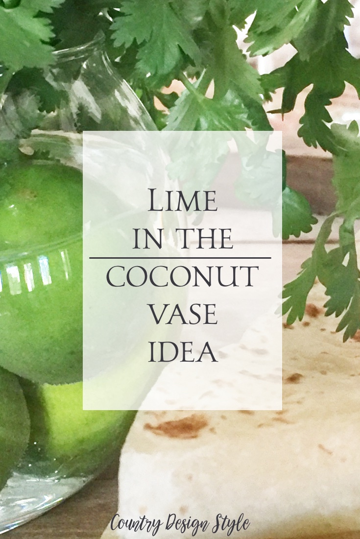 Put the lime in the coconut vase idea