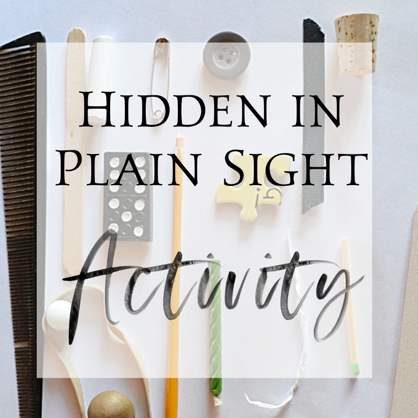 hidden in plain sight sq