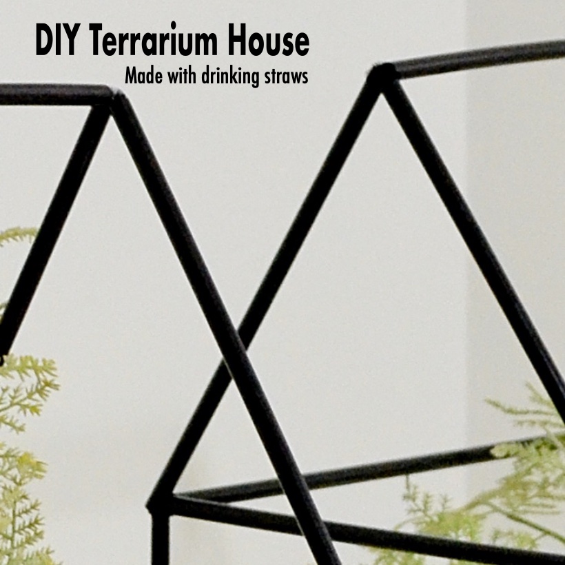 DIY Terrariums SQ