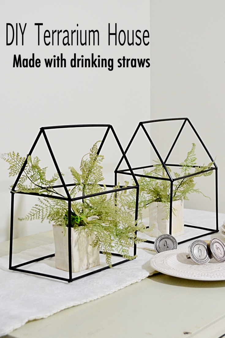 DIY terrarium house of straws pin