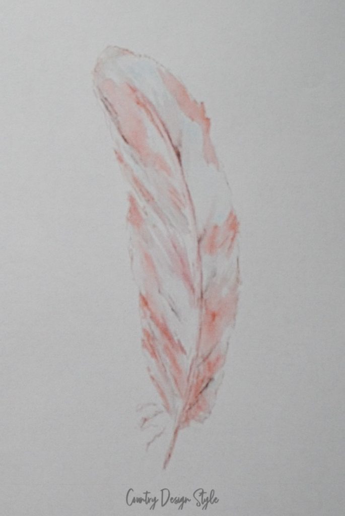 feather on copy paper