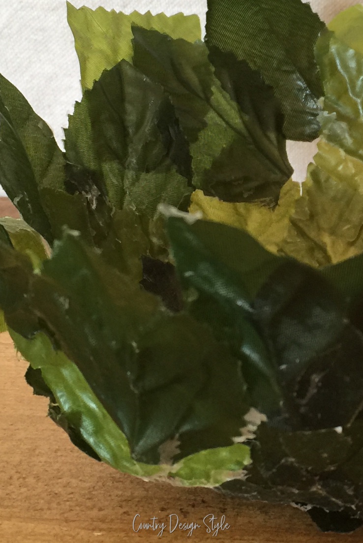 looks like wilted lettuce
