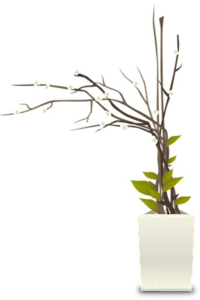 brown branches gathered in white vase