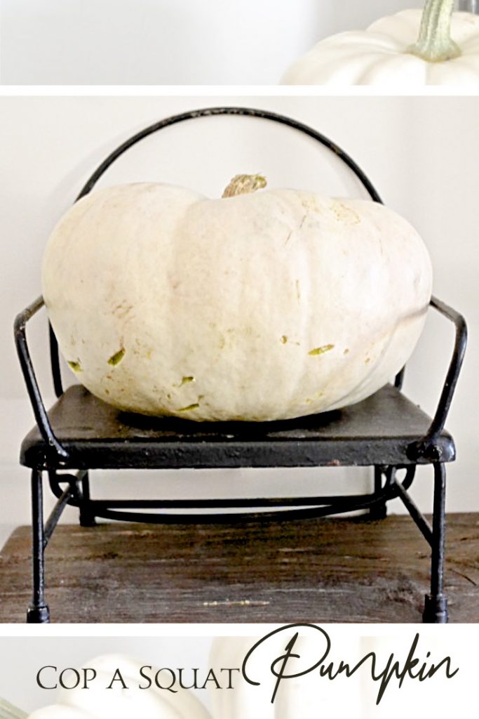 White pumpkin sitting in black chair