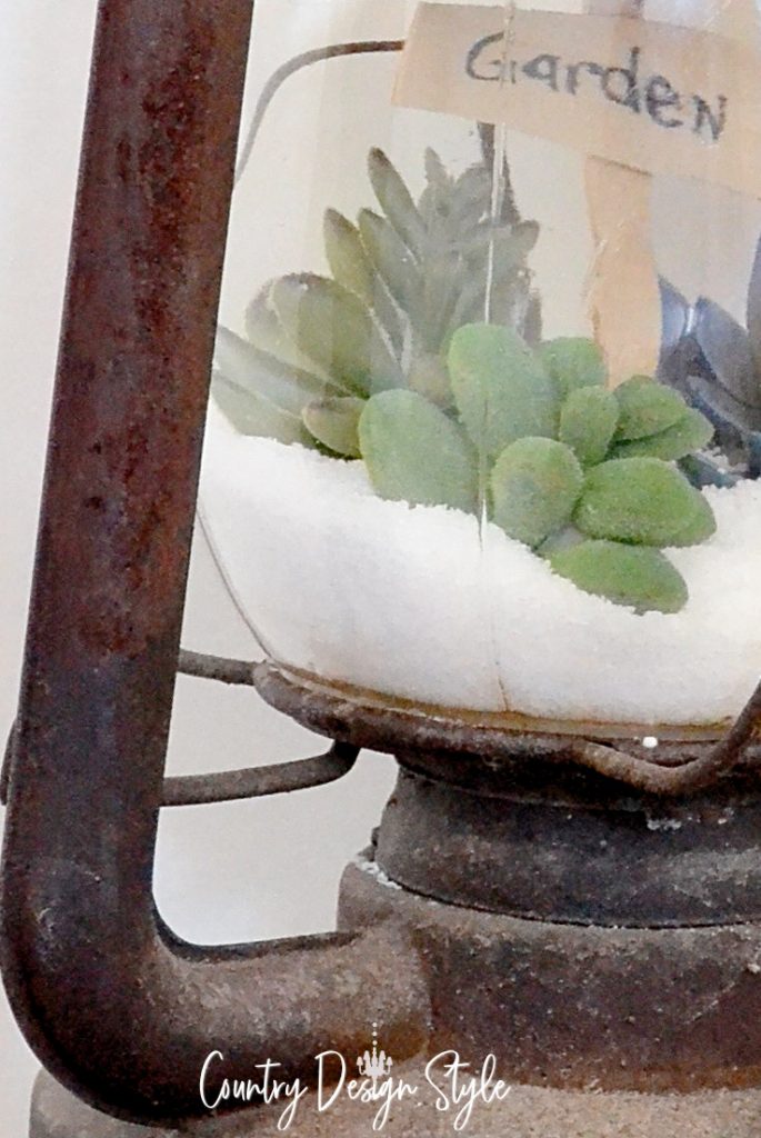 closeups of succulents in lantern
