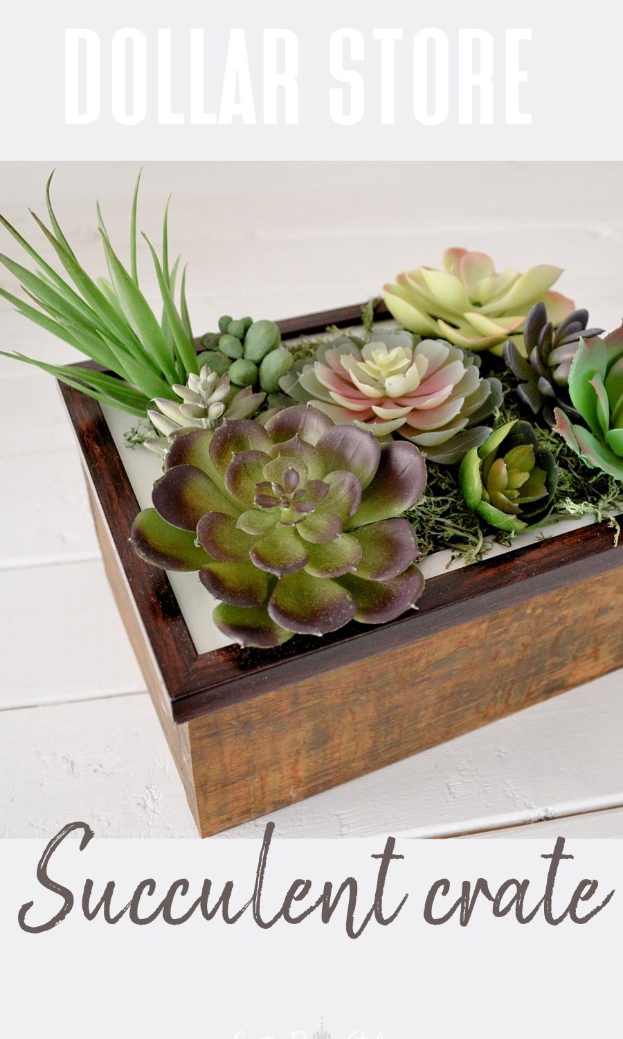 succulent frame on crate