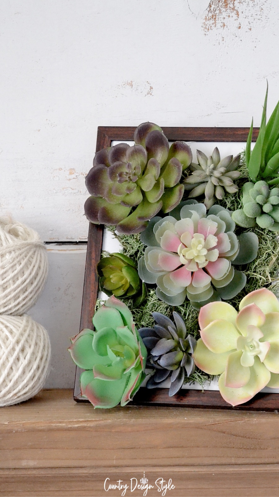 Succulents standing in portrait frame
